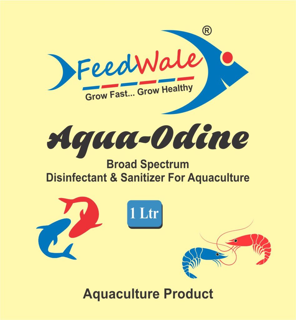 Links To All FeedWale Products FeedWale