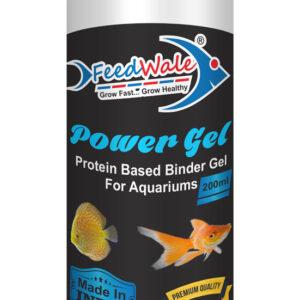fish food online Archives - FeedWale