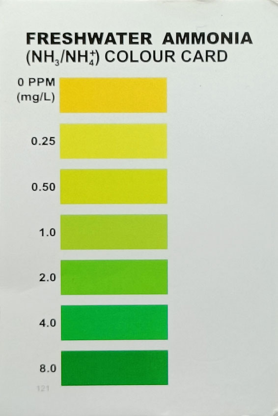 FeedWale Ammonia Test Kit for Fresh Water - 130 Test - FeedWale