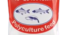 fish food online Archives - FeedWale