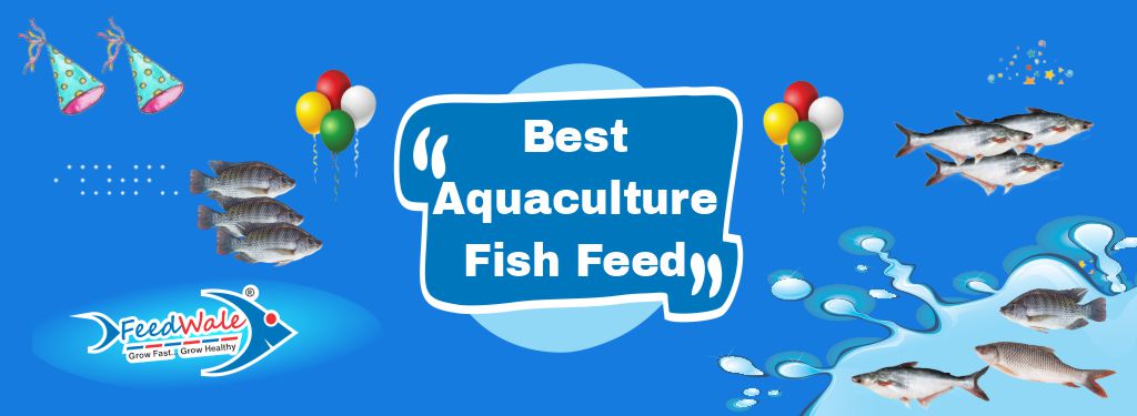 Best Fish Feed Company