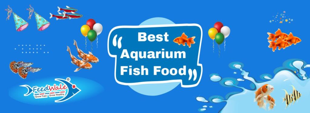 Best Fish Food For Aquarium Fishes