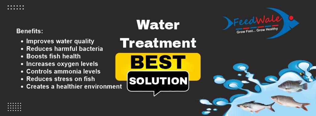 Best Water Treatment