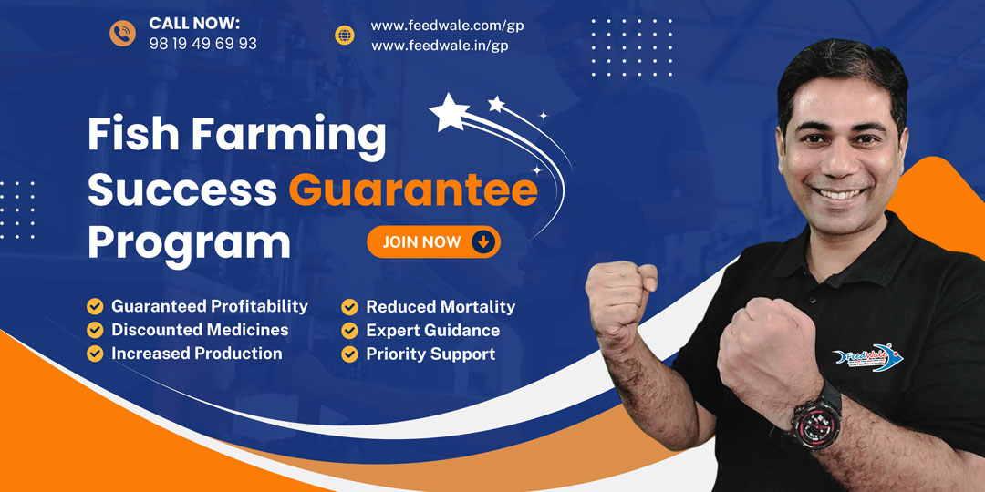 FeedWale Success Guarantee Program